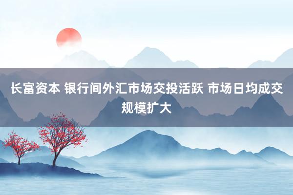长富资本 银行间外汇市场交投活跃 市场日均成交规模扩大