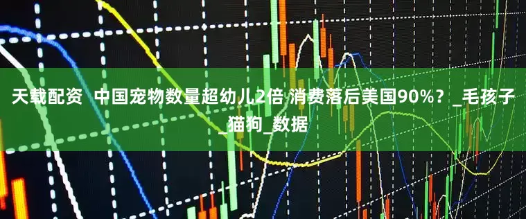 天载配资  中国宠物数量超幼儿2倍 消费落后美国90%？_毛孩子_猫狗_数据