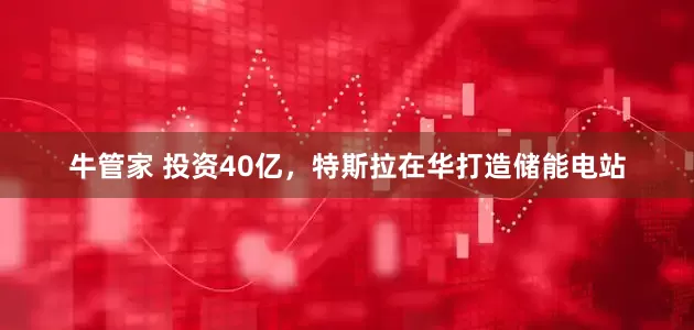 牛管家 投资40亿，特斯拉在华打造储能电站