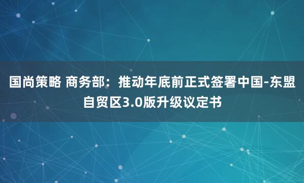 国尚策略 商务部：推动年底前正式签署中国-东盟自贸区3.0版升级议定书