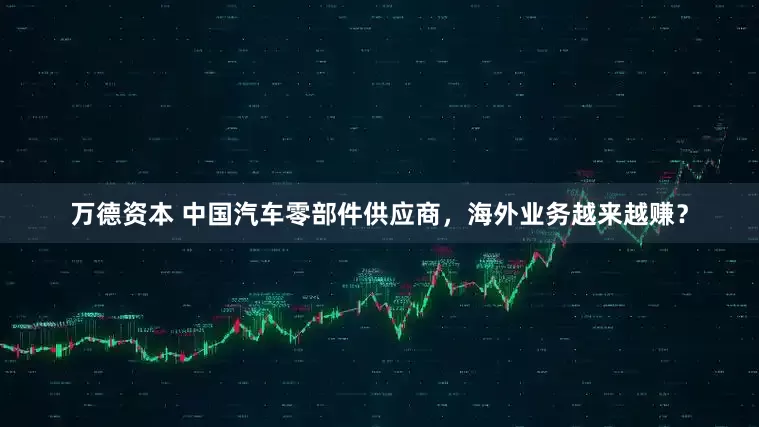 万德资本 中国汽车零部件供应商，海外业务越来越赚？